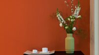Oikos Supercolor ED - акриловая интерьерная краска для потолков и стен